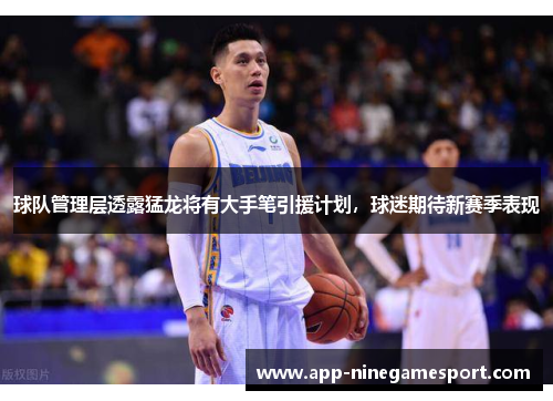 球队管理层透露猛龙将有大手笔引援计划，球迷期待新赛季表现